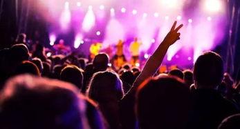 广西音乐节爆料视频,视听盛宴，青春狂欢纪实